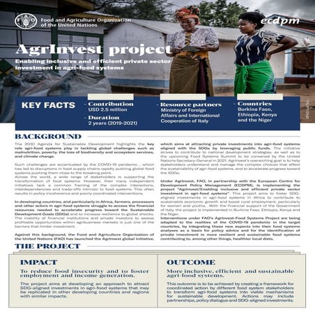 8. AgrInvest project.pdf