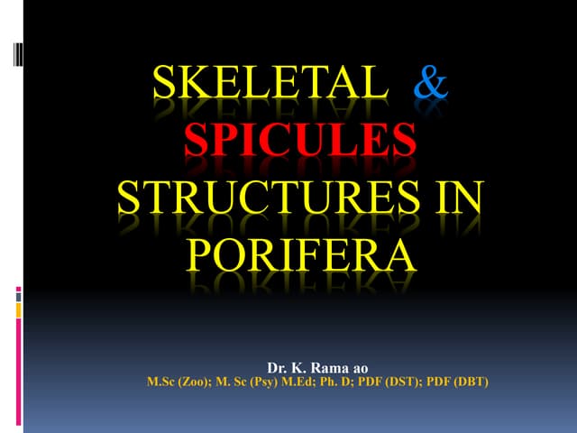 Porifera Spicules.pptx