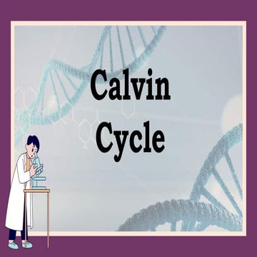 8. Calvin Cycle.pptx
