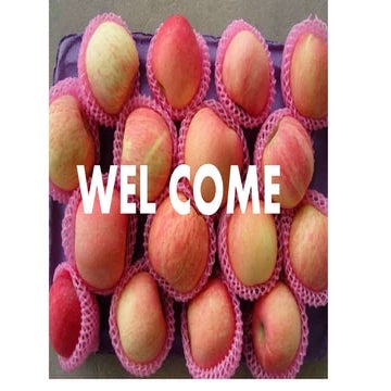 8. Packaging and packing house operations.pptx