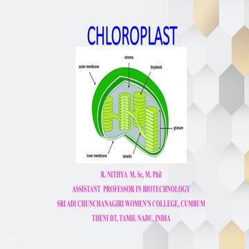 8. Chloroplast.pptx Cell and Molecular Biology