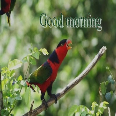 8.teeth selection in complete denture in prosthodontics