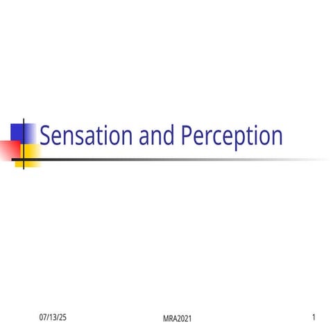 Sensation and Perception: How Our Sensory Systems Detect, Transform ...