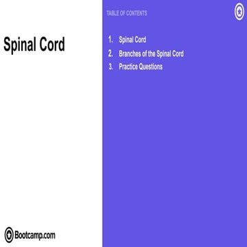 8.Spinal Cord Review.pdf with branches an