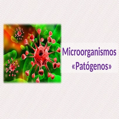 8. microorganimos patogenos, virus, bacterias y protozoos | PPTX