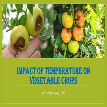 Impact of Temperature on Vegetable Crops.pptx