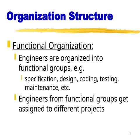 ORGANIZATION AND TEAM STRUCTURE IN SOFTWARE INDUSTRY