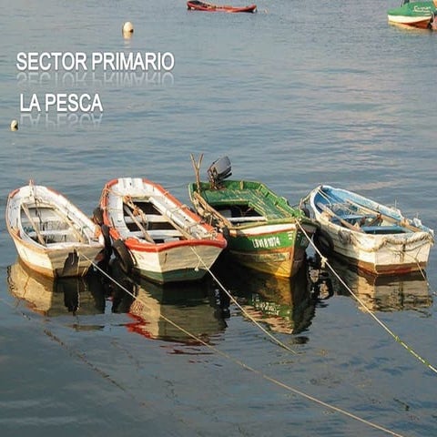 SECTOR PRIMARIO: LA PESCA
