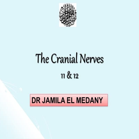 Anatomy of CN XI & XII