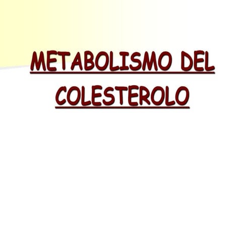 8 colesterolo