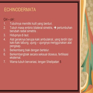 echinodermata.ppt