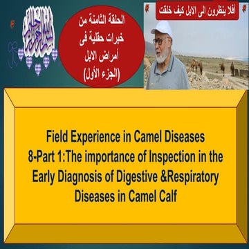 8-Part 1 The importance of Inspection in Diagnosis of Camel Calf Diseases Pro...