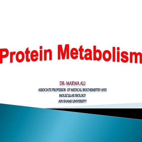 8-protein metabolism.pptx