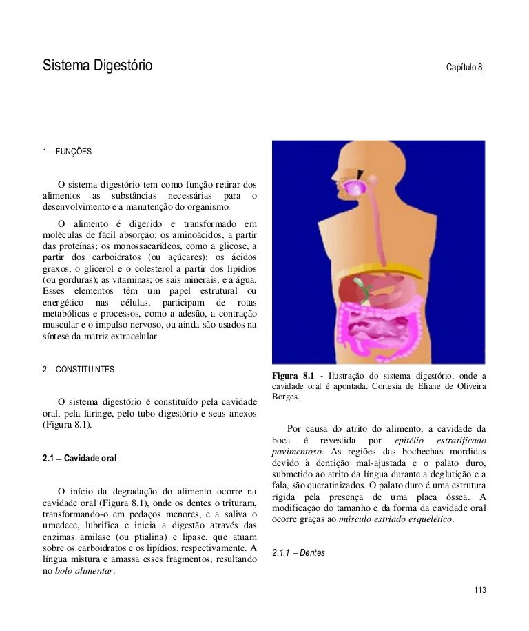 Esôfago no inferior proeminentes veias