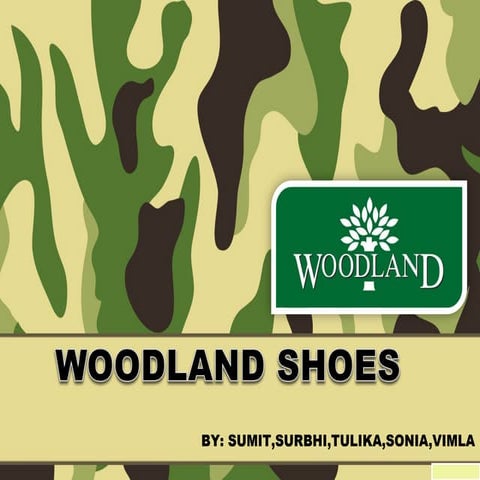  Woodland-shoes-product-life-cycle