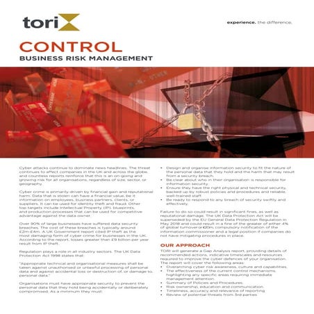 Cyber Security Risk Management