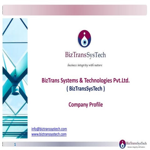 BizTransSysTech_v1.0