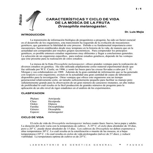 8084 20090408213852 drosophyla melanogaster