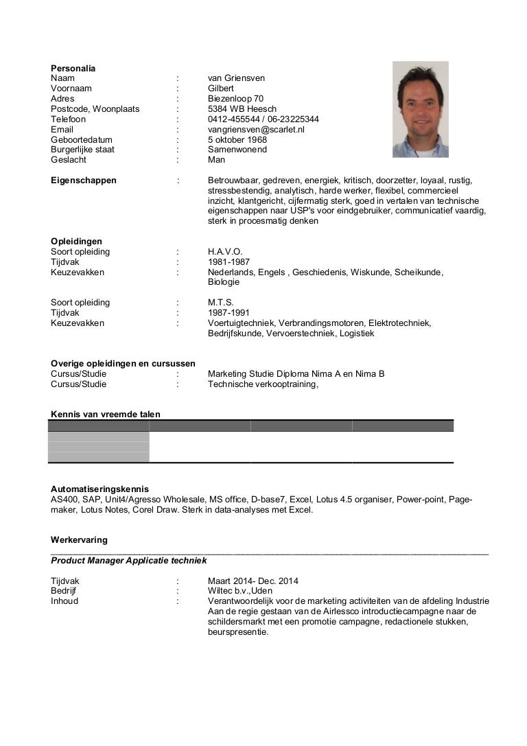 Resume summary examples image