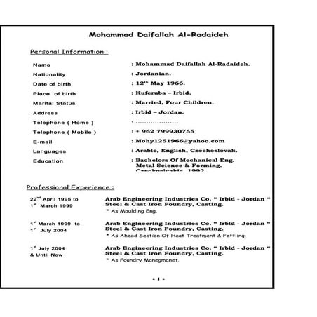 Curriculum vitae naneu | DOC