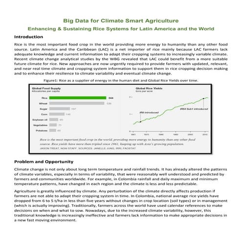 Big Data For Rice Systems in Latin America