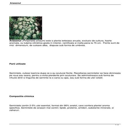 81 anasonul | PDF