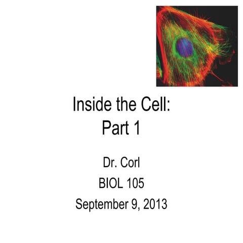 8 105 fa13 inside the cell part 1 skel