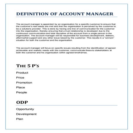 Definition of Account Manager | DOCX