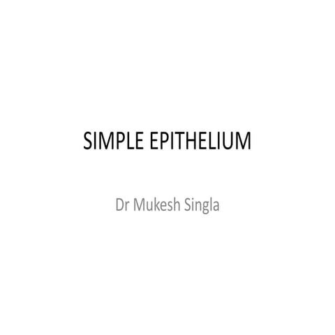 815_Simple-epithelium.ppt