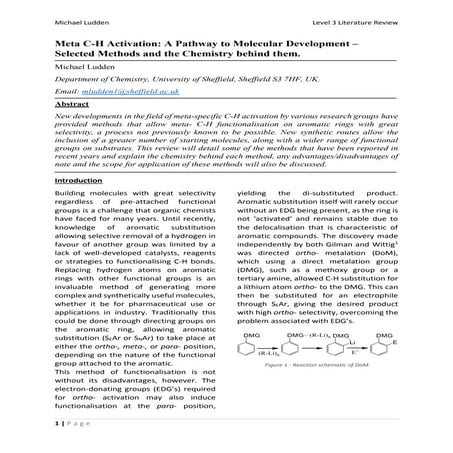 L3 Lit. Review Michael Ludden