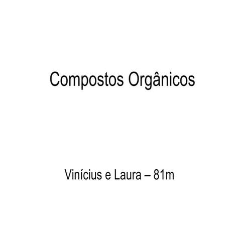 81m vinicius e laura