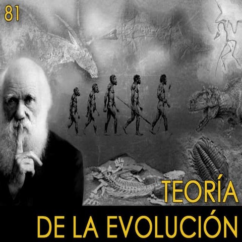 81 teoria de la evolucion