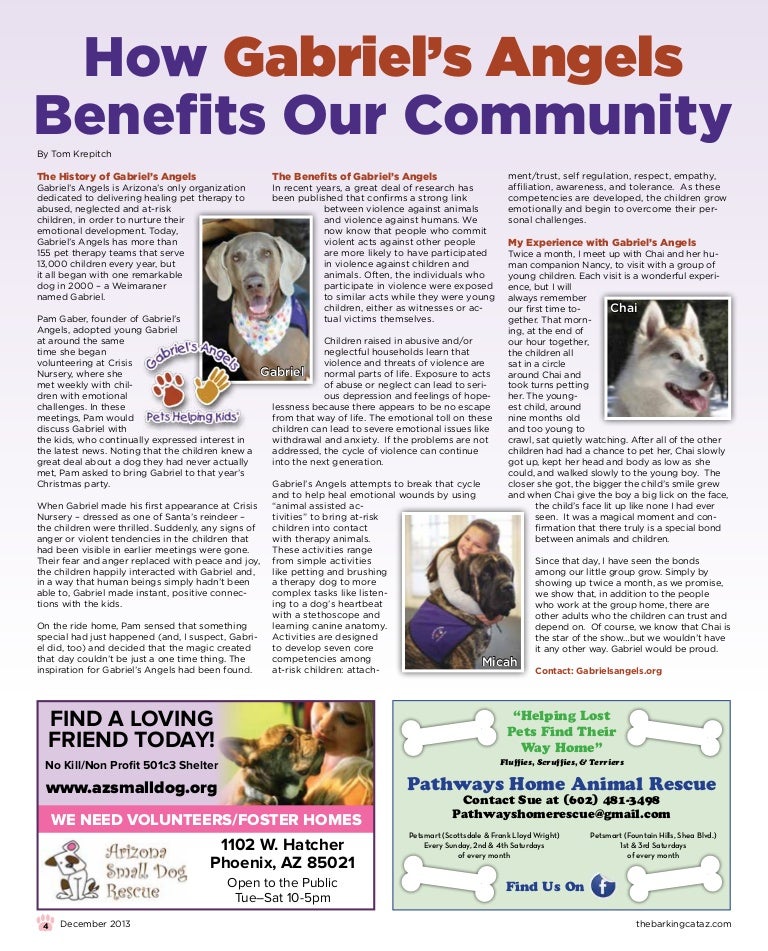 pathways home animal rescue