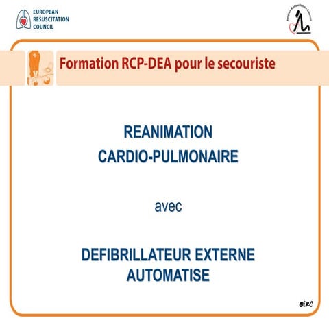 RCP_2010_FR_111006_Def | PDF