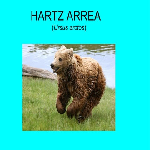 825_hartz_arrea.ppt