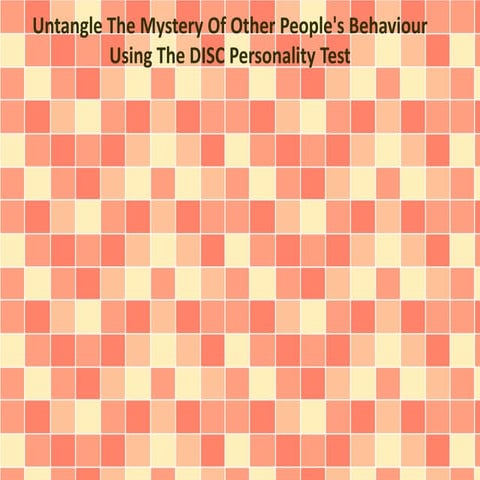 Untangle The Mystery Of Other People's Behaviour Using The DISC Personality Test