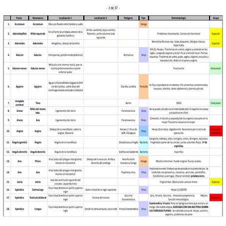 Bomagnetismo Goiz- 680pares