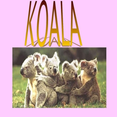 827_itsaso_koala.ppt