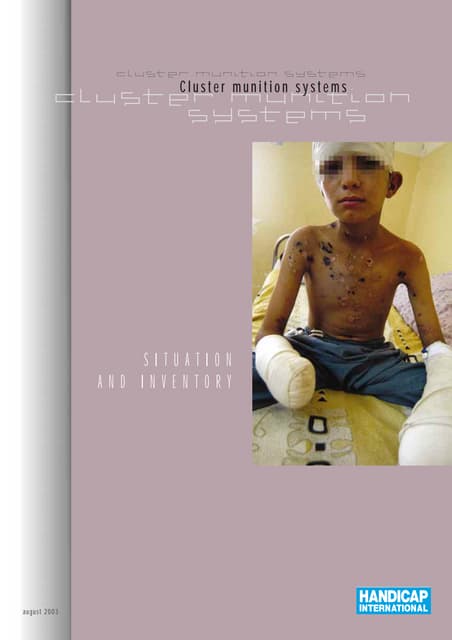 HI 82a -Cluster munition systems : situation and inventory  (English)