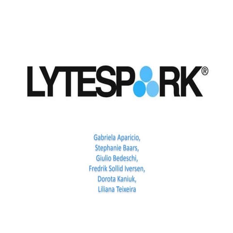 LyteSpark Group 2 (1)