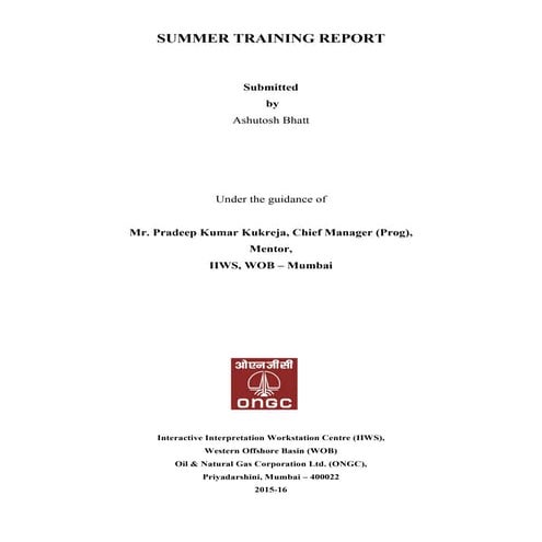 Internship report | DOCX