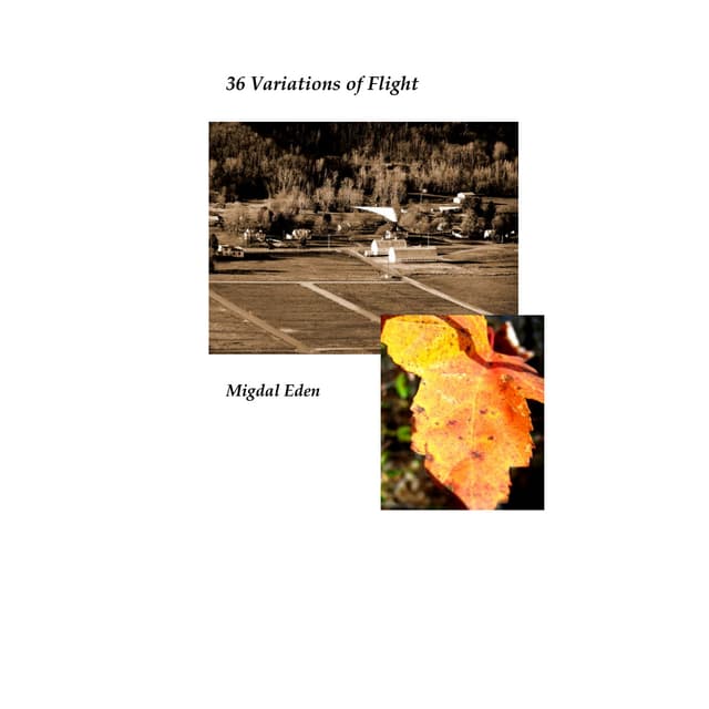   36 Variations of Flight