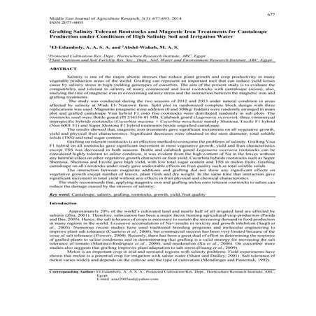 Grafting Salinity Tolerant Rootstocks and Magnetic Iron Treatments for Cantal...
