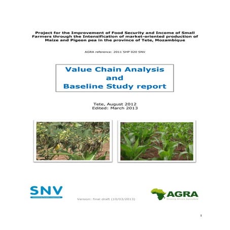 2011 AGRA Pigeonpea  tete Value Chain Analysis and Baseline Study 2013 (3)