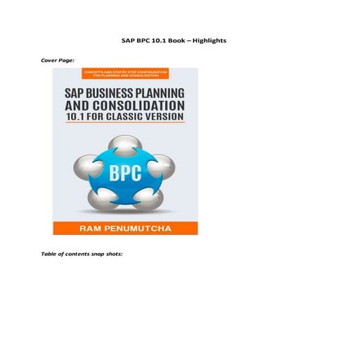 SAP BPC 10.1 Book - High lights