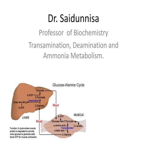 8402594 pm.ppt metabolism of amino acids