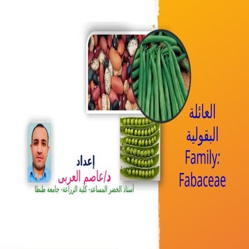 محاضرة 8_خضر العائلة البقولية_4_12_2020.pptx