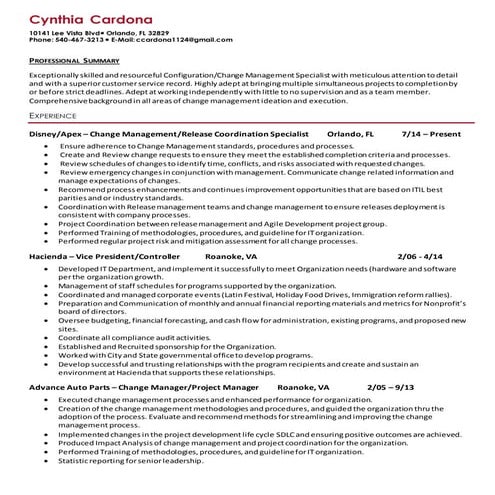 Lori Sealock CGI resume | DOCX