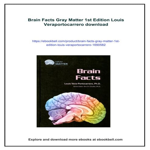 Brain Facts Gray Matter 1st Edition Louis Veraportocarrero