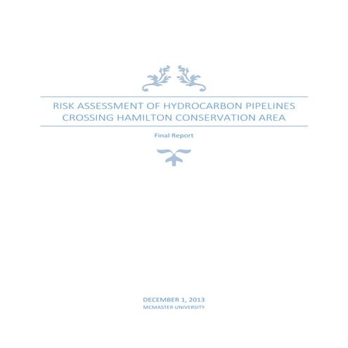 Risk Assessment Project